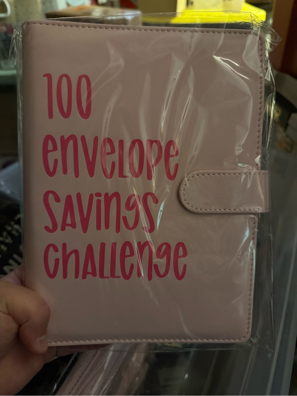 Pink 100 Envelope Savings Challenge Binder Organizer
